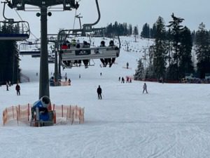 029d08d7-82a8-4b1d-ac45-ccf0d2594513