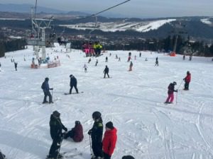 073f8a03-67ad-41b4-b11a-9c627c3c8da8