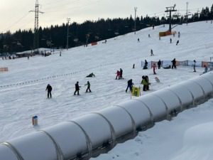 34d3ad40-40db-42e8-973b-a1e3d56dc3c9