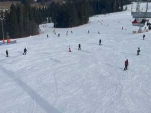 36d54a7f-e1b2-4d02-8225-0fceba4d440e