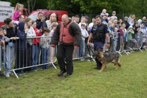 505433984_1159421369563689_1082270768371785002_n