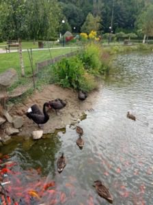 IMG_20250823_135211_1